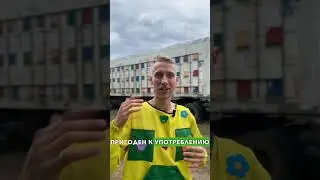 🌿 Доказательство того, что мёд хранится вечно 🍯