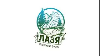 Lazya logo