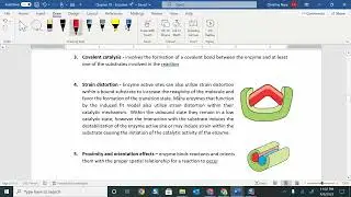 GOBII 10.4