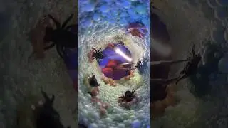Telinga kamu?? 