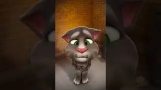 Talking Tom says Hello