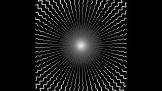 Very Vile Void VVorm Violation 🖤🤍 Chilled Psychedelic Hypnotic 🌀 Kaleidoscope Satisfying Loop Drone