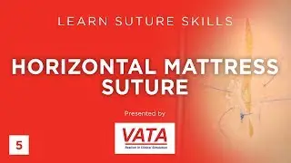 Horizontal Mattress Suture - Learn Suture Techniques - VATA