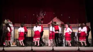 Село, село, пусто село - СОУ 