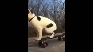 Умеет