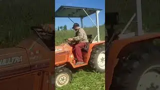 Косим трактором 🌾🚜