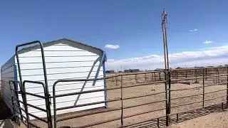 Unrelenting Wind!