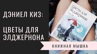Обзор бестселлера Дэниела Киза: Цветы для Элджернона