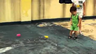 Filipino colored chicks 2