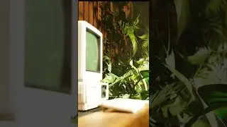 Анимация с новой видеокартой #9d #3danimation #blender #blenderanimation #computeranimation #блендер