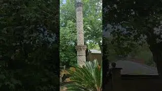 Пальма и пальма.