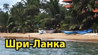 Шри Ланка, отзывы туристов, цены
