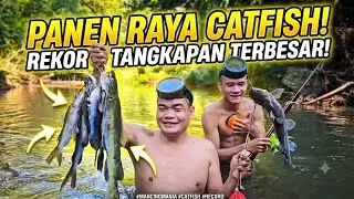 PANEN IKAN BAUNG DAN MUSANG MONSTER LANGSUNG MUKBANG !!!