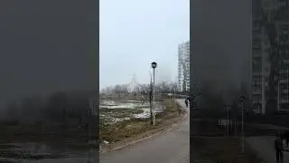 Туман в парке Новый Оккервиль в Кудрово
