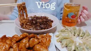 VLOG 🍛 Quick Instant Korean & Japanese Foods 🥟 Burning My Dumplings Again 🍣 Fried Onions For Inari