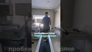 1000 марафонов и колени