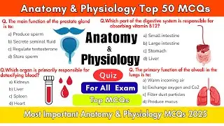 Unlock Your Medical Knowledge with Our Anatomy & Physiology Quiz!