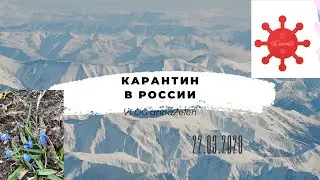 Карантин в России