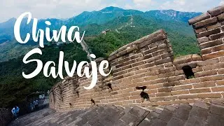 China salvaje 4k