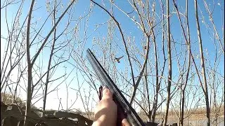 Результативный выезд на утренней заре