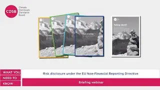 Risk disclosure under EU Non-Financial Reporting Directive