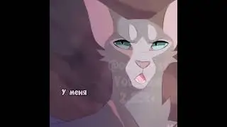 люблю её #синяязвезда #котывоители #кв #warriorcats #warriors #книги #рекомендации #топ #реки #коты