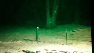 BIGFOOT ARE GHOST IN KENTUCKY..THE BLUE GRASS BIGFOOT VIDEO