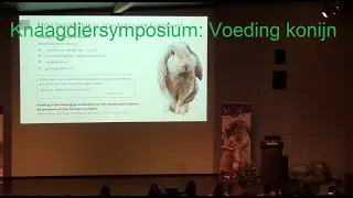 Knaagdiersymposium: Voeding konijn