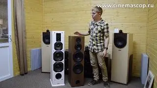 Сравниваем AQ Labrador 26 и Dynavoice Definition DF-8