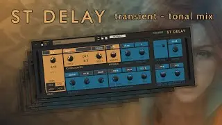 ST Delay - Transient-Tonal mix