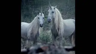 26. Lil Peep - Right Here (ft. Horse Head) [Instrumental ((Re)-Produced By NEDARB/Cvsey Jones)]