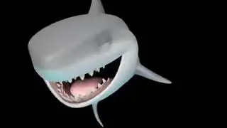 Mami que tu quiere aqui llego tu tiburon 🦈