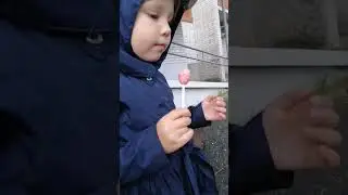кормим бойца
