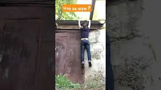 Что то шумит за гаражами !?