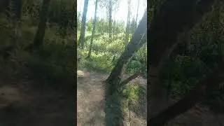 Фестиваль ЖизниГрад 2024(1)