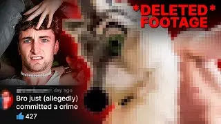 The Hairy Truth: Exposing Anthpo’s Disturbing Deleted Furry Video