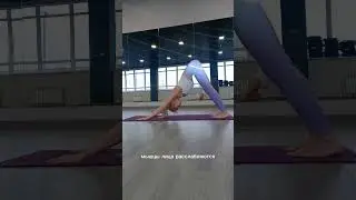 АДХО МУКХА ШВАНАСАНА Собака лицом вниз. #yogaonline #йогадома #йогаонлайн #хатхайога