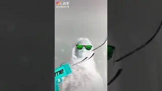 Лайк