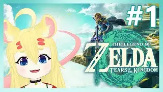 Rat of The Skies!! [Tears of The Kingdom Part 1]