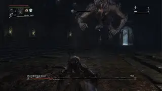 Bloodborne | Bloodletting Beast /cursedBeast