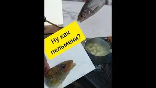 Зимняя рыбалка 2022 Беларусь.Рыбалка в слом погоды.