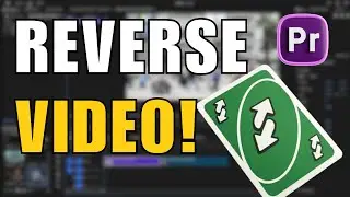 How to Reverse a Video in Adobe Premiere Pro