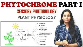 PHYTOCHROME PART I Sensory Photobiology I Plant Physiology I Photostationary Equilibrium I PHY GENE