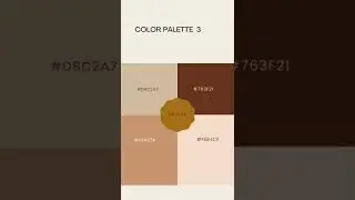 Do you have a favourite color palette?