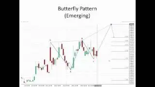 Introduction to Fibonacci Patterns