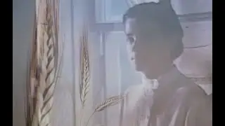 Пепел любви [Серёга]