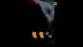my cute pussy