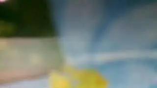 Квартет лягушек(Взобрались четыре лягушки на кочку,и каждая пела)к/ф