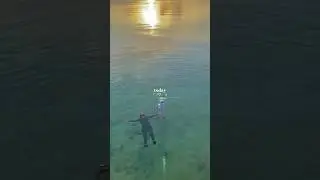 Today activity in 13 seconds 🌊⛅️🪸🏝️#wakatobiisland🏝 #sulawesitenggara #wakatobi #sulawesi