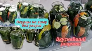 Маринованные Огурцы на ЗИМУ БЕЗ УКСУСА/Рецепт хрустящих огурцов